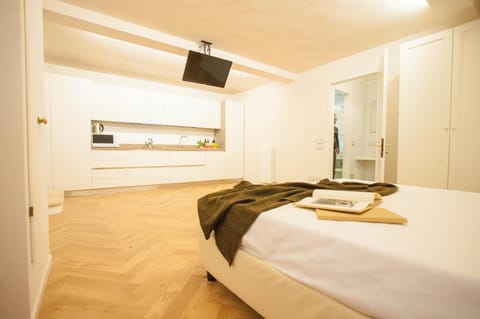 Bed, TV and multimedia, Kitchen or kitchenette, Photo of the whole room, Bedroom, towels, wardrobe