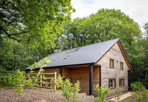 Property building, Garden view