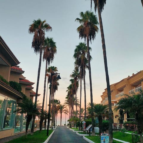 Natural landscape, Street view, Location