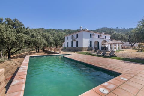 Property building, Living room, Swimming pool