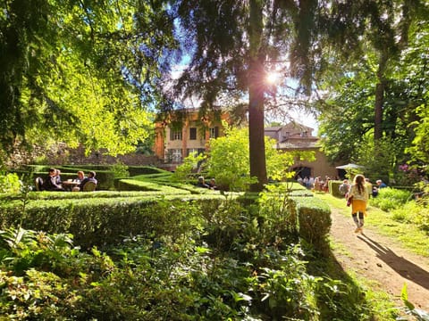 Property building, People, Summer, Garden, Lounge or bar, Garden view, Entertainment, children, young children, older children, group of guests, Family