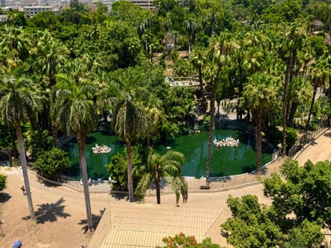 Nearby landmark, Garden view