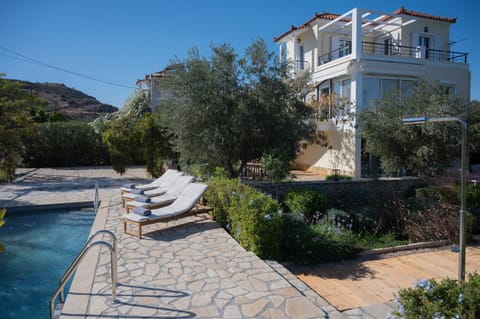 Garden, Swimming pool