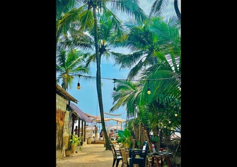 Beach, Sea view