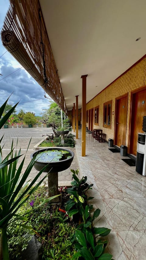 Balcony/Terrace, Garden view