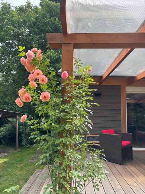 Behagliches Cottage am See House in Lychen