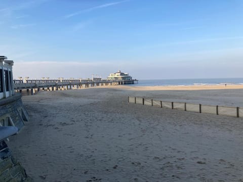 Day, Natural landscape, Beach