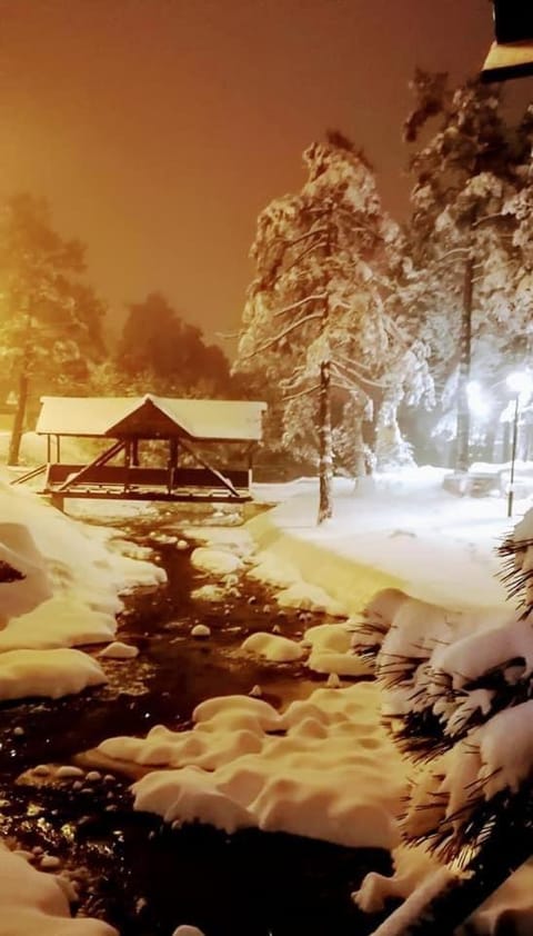Vila Marina Divčibare Apartment hotel in Zlatibor District, Serbia