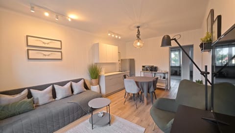 Kitchen or kitchenette, Living room, Seating area, Dining area