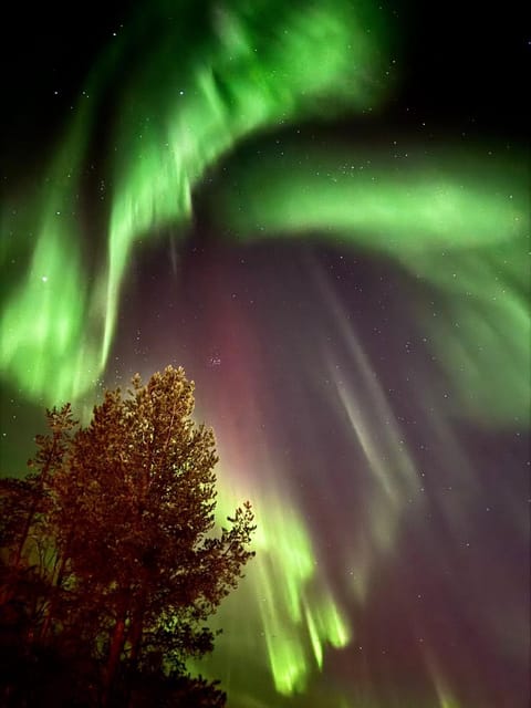 Night, Natural landscape