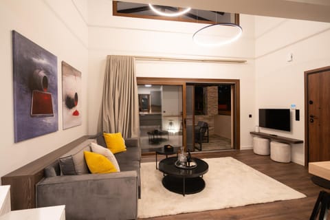 Thea Petra Apartment in Kalabaka