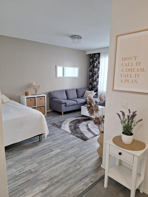 Living room, Photo of the whole room