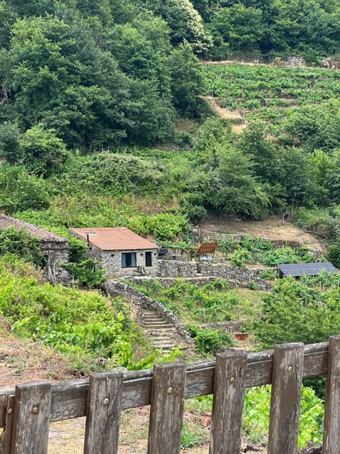 Property building, Natural landscape