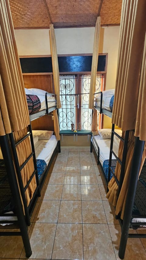Bed, Photo of the whole room, Bedroom, bunk bed