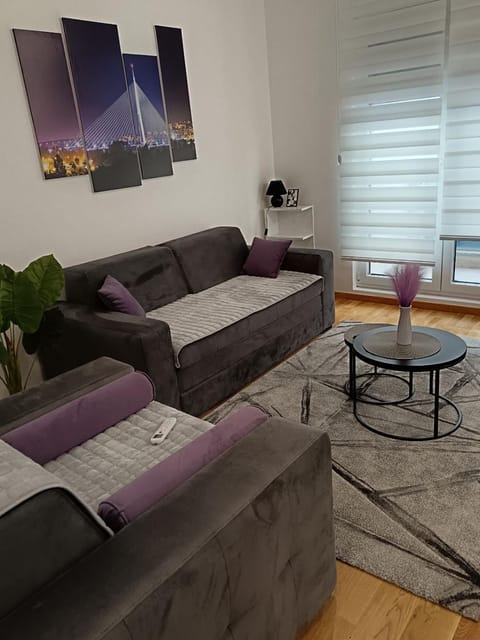 City011 studio PRIVATE GARAGE FREE Apartment in Belgrade