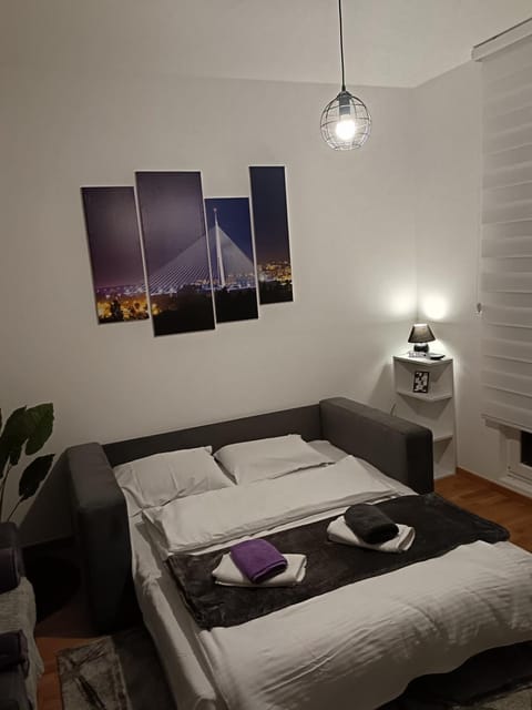 City011 studio PRIVATE GARAGE FREE Apartment in Belgrade