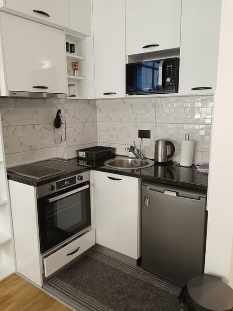 City011 studio PRIVATE GARAGE FREE Apartment in Belgrade