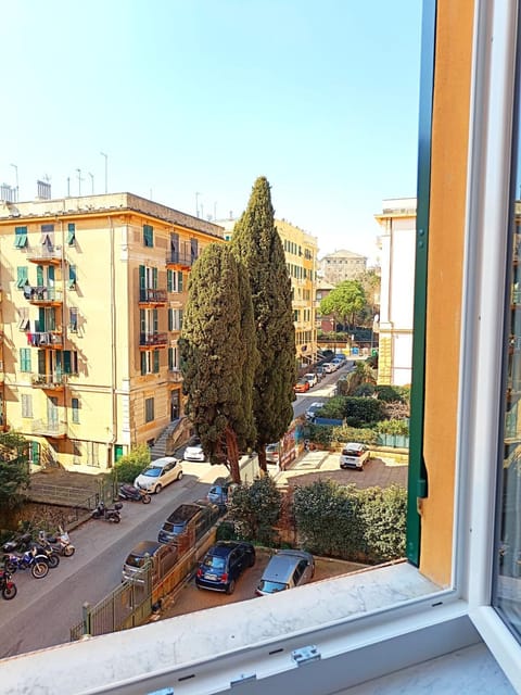 Day, Neighbourhood, Street view, Location