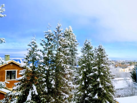 Natural landscape, Winter, Lake view