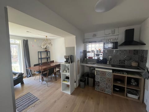 Kitchen or kitchenette, Living room, Communal kitchen, kitchen, kitchen