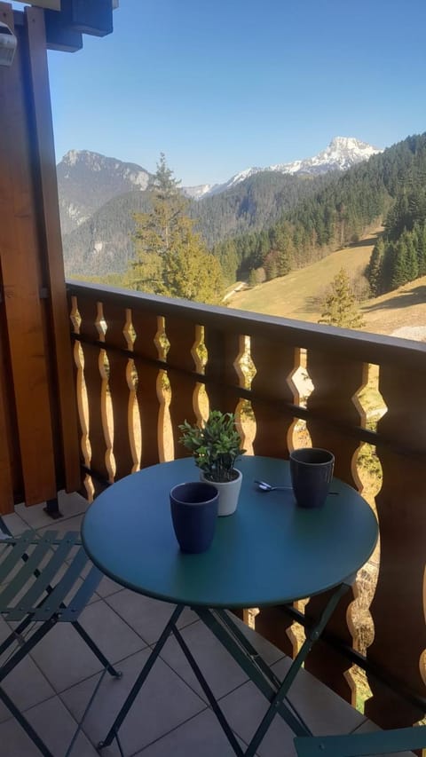 Appartement vu sur la montagne Apartment in Haute-Savoie