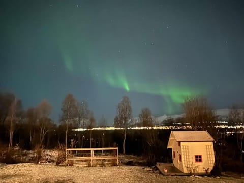 Oppdag Tromsø fra vår leilighet! Apartment in Tromso