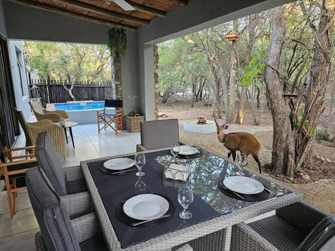 Patio, Balcony/Terrace, Dining area, Animals, Pool view, Swimming pool