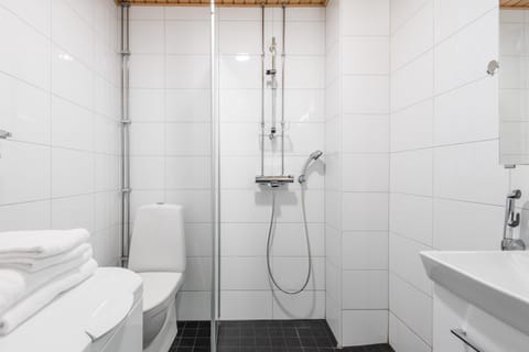 Shower, Toilet, Bathroom, towels