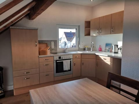 Kitchen or kitchenette, Dining area, oven, stove
