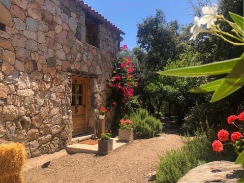 Villa de type bergerie 3 chambres avec piscine Villa in Porto-Vecchio