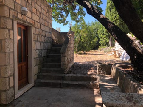 Day, Garden, Garden view