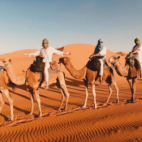 Property building, Day, People, Natural landscape, Horse-riding, Animals, group of guests