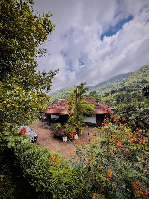 Natural landscape, Mountain view
