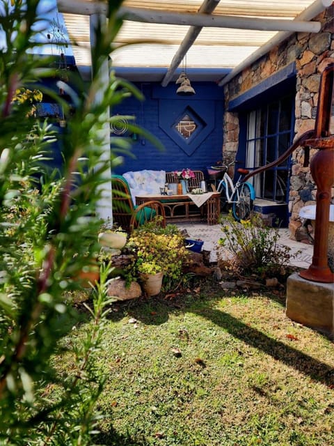 Patio, Garden, Garden view