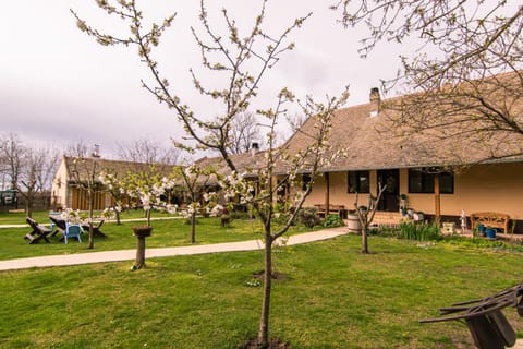 Spring, Day, Natural landscape, Garden, Garden view