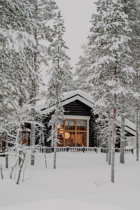 Day, Natural landscape, Winter