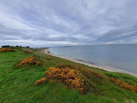 The Nest Number 2 Apartment in Ireland