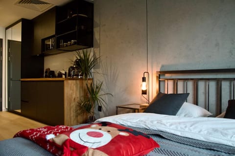 Bed, Kitchen or kitchenette, Bedroom, microwave, oven, stove, stove, kitchen, kitchen