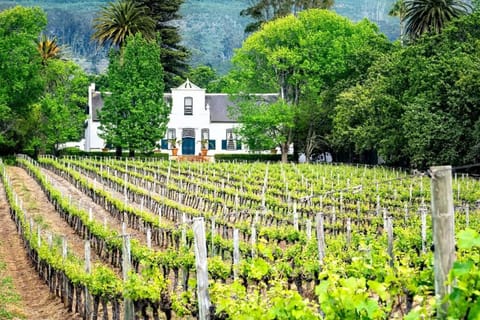 Tranquil 2 bedroom with Balcony, Pool, Walk to Beach! Apartment in Cape Town