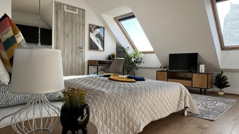 Bed, TV and multimedia, Photo of the whole room