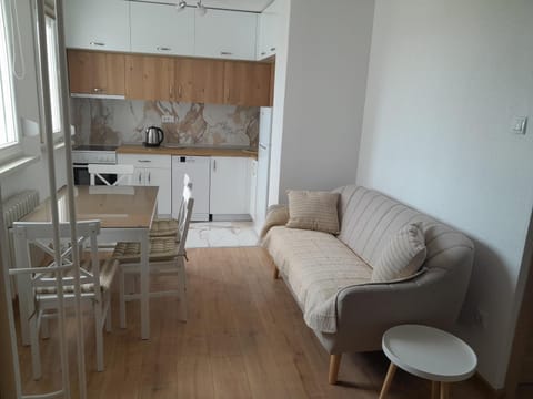 Kitchen or kitchenette, Living room, oven, stove