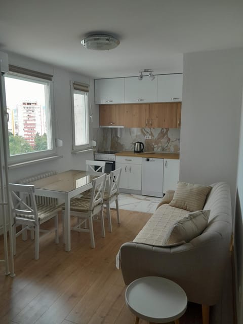 Kitchen or kitchenette, Living room, Seating area, Dining area, stove