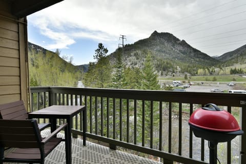 Woodbridge Inn Getaway: Pet Friendly, Mountain Views Apartment in Frisco