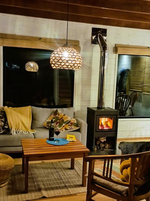 Winter, Living room, fireplace, heating, heating, internet