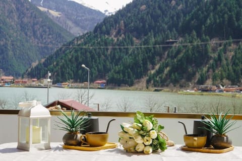 Balcony/Terrace, Lake view