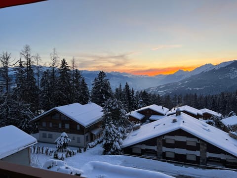 Résidence Robin des Bois, Crans-Montana, luxueux appartement avec vue imprenable Apartment in Sierre