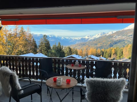 Résidence Robin des Bois, Crans-Montana, luxueux appartement avec vue imprenable Apartment in Sierre