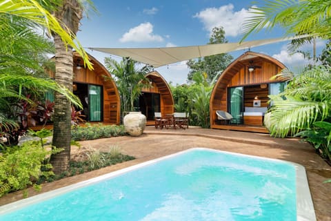 Property building, Patio, Day, Garden, Swimming pool, Swimming pool