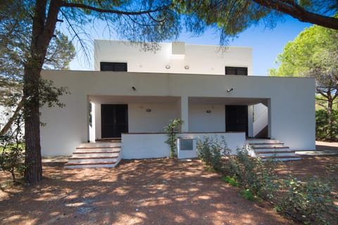Property building, Garden, Garden view