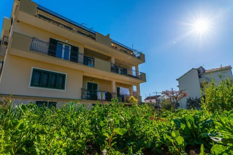 Property building, Spring, Day, Garden, Garden view